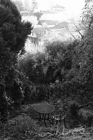 NCP_2013_12_20_3646b