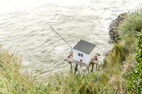 Mechers sur Gironde-2199