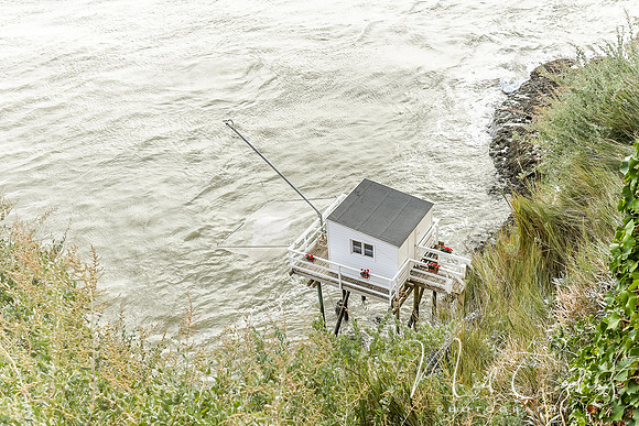 Mechers sur Gironde-2199