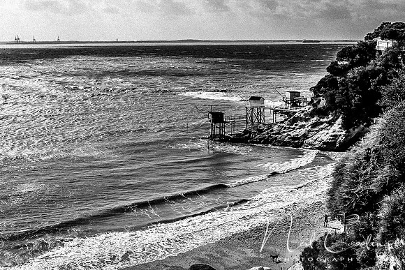 Mechers sur Gironde-2182-3