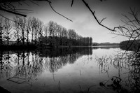 IMG_8418-3
