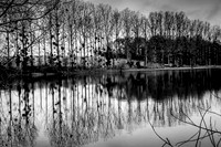 IMG_8423-4