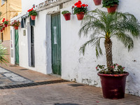 Estepona Streets-0791