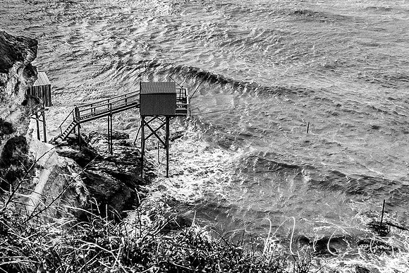 Mechers sur Gironde-2190-3