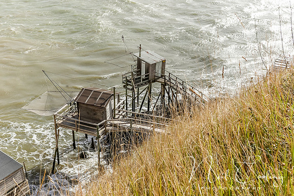 Mechers sur Gironde-2187