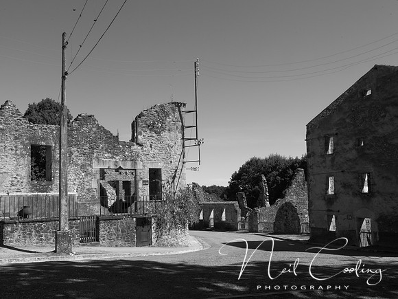 NCP_2013_09_03_3344a