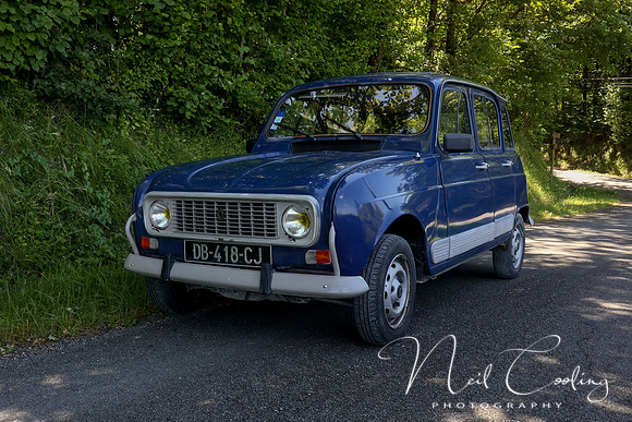 Renault 4GTL-1991