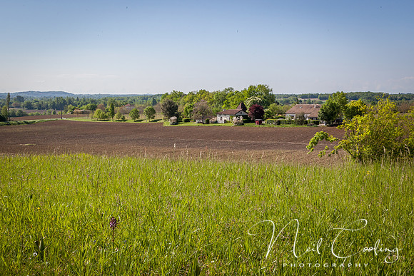 IMG_8987-6