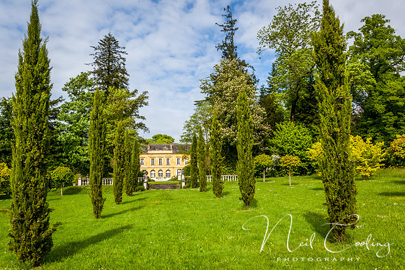 IMG_9044-8