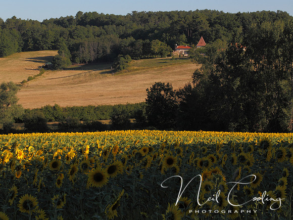 NCP_2013_08_15_3180a