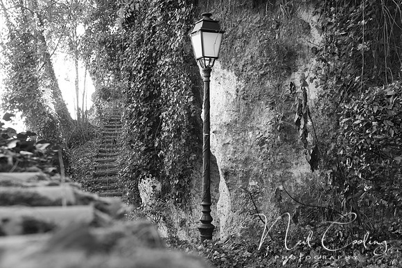 NCP_2013_12_20_3664b
