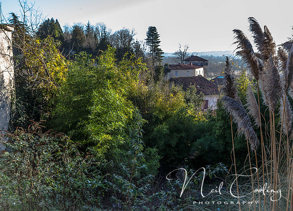 Aubeterre-3661