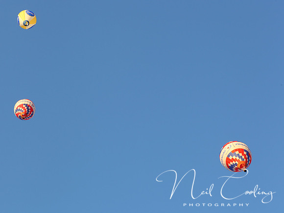 NCP_2013_08_01_2668a