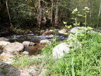 NCP_2013_04_25_1823