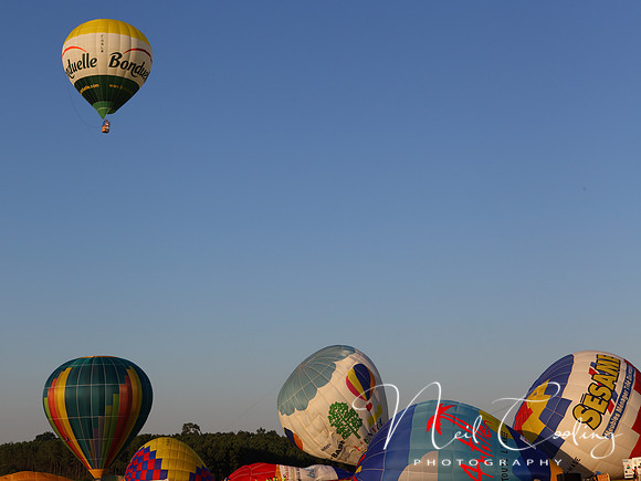 NCP_2013_08_01_2631a