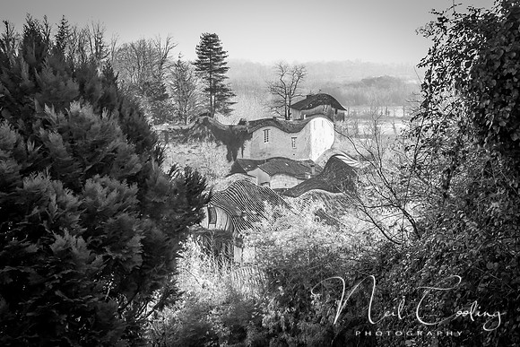 NCP_2013_12_20_3643 l-1
