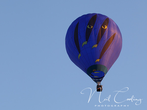 NCP_2013_08_01_2696a