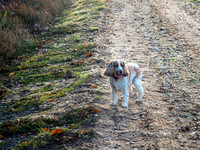 20211101-_OM00017-2