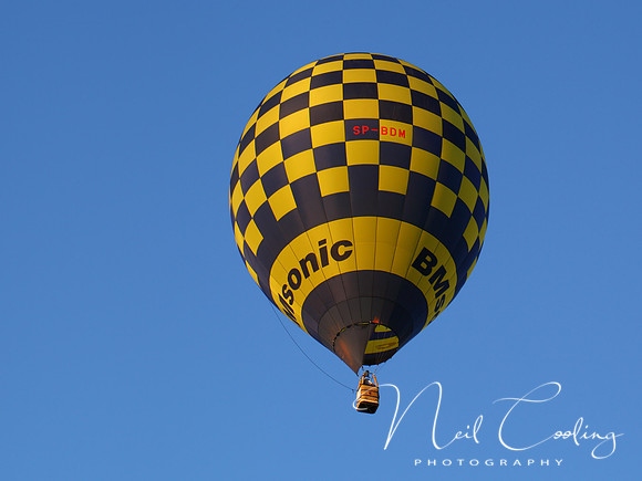 NCP_2013_08_01_2676a