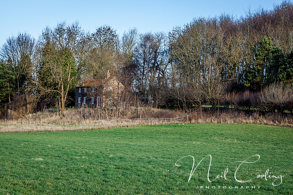 IMG_9956-5