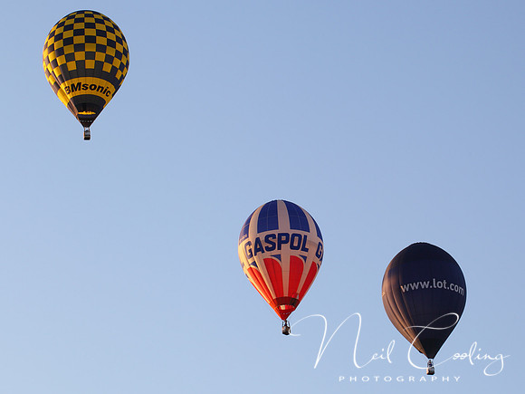 NCP_2013_08_01_2678a