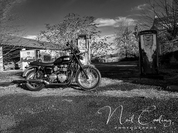 20220101-_OM00182