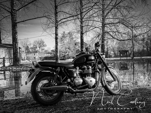 20220101-_OM00175