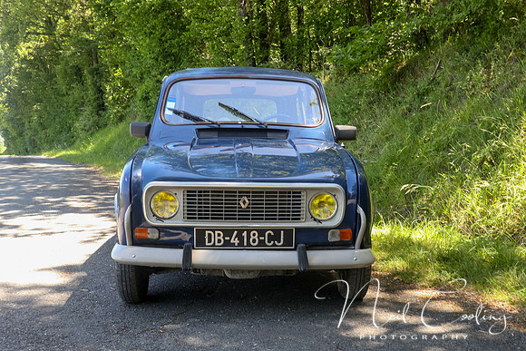 Renault 4GTL-1996