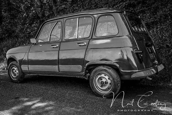 Renault 4GTL-1995-2