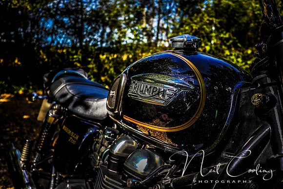 Truimph Bonneville T100  (3 of 7) - 2025