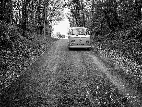 VW Belle-4100001-3
