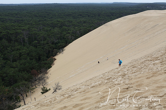 NC 5d_2012_08_29_0826 A