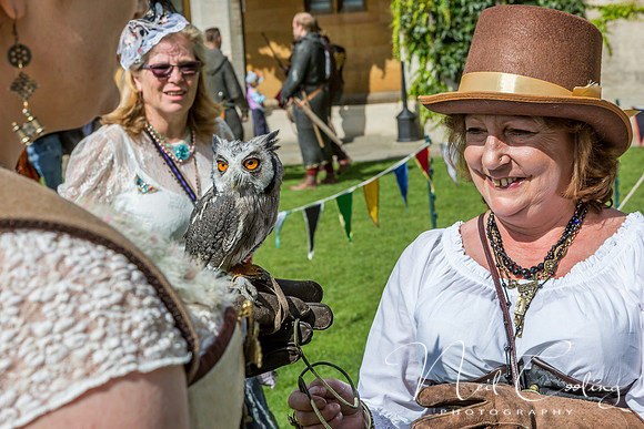 Asylum Steampunk Festival, Lincoln  (18 of 117)5846
