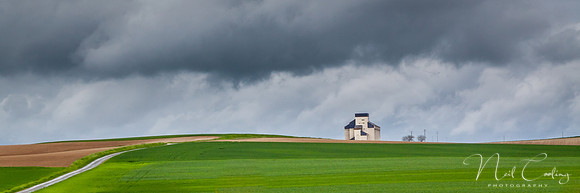 IMG_8932-1