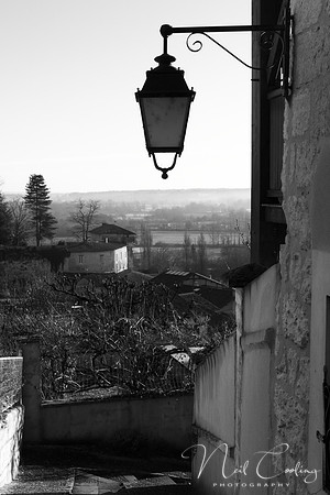 NCP_2013_12_20_3648b
