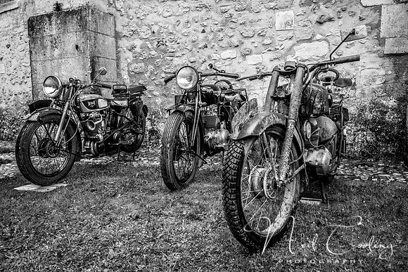 IMG_8875 copy