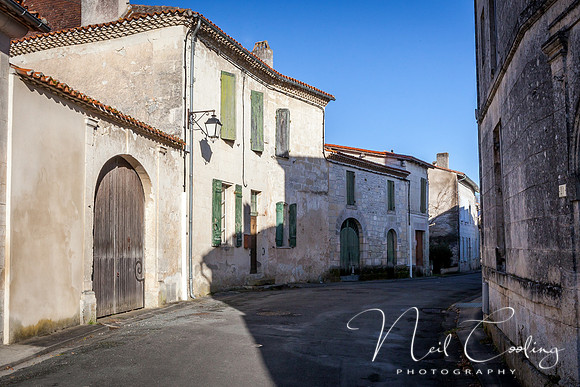 NCP_2013_12_20_3699-1