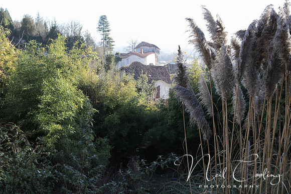 NCP_2013_12_20_3661aL