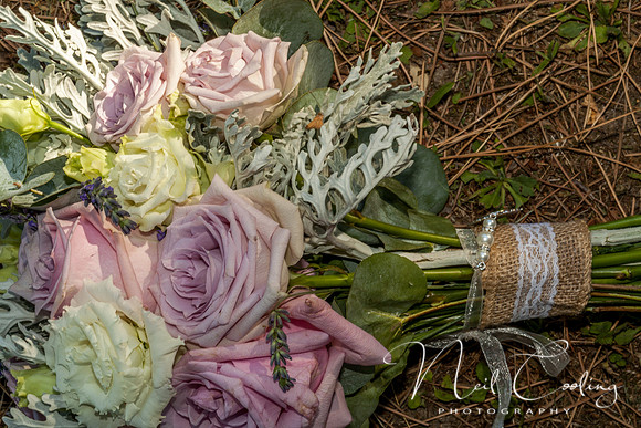 Jenni & David's Wedding, Bellevue -352-7093