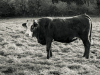 20211101-_OM00027-2