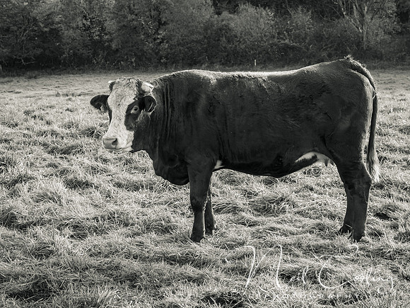20211101-_OM00027-2