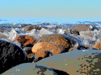 20230425-OP000023