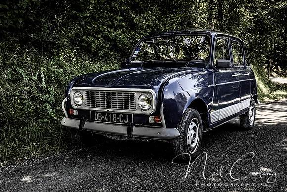 Renault 4GTL-1991-3