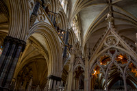 Lincoln Cathedral (15 of 29) - 5743