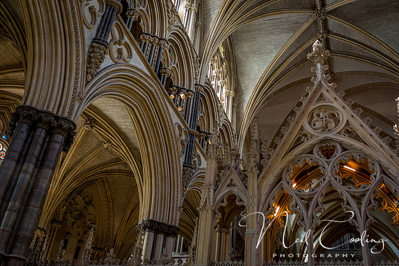 Lincoln Cathedral (15 of 29) - 5743