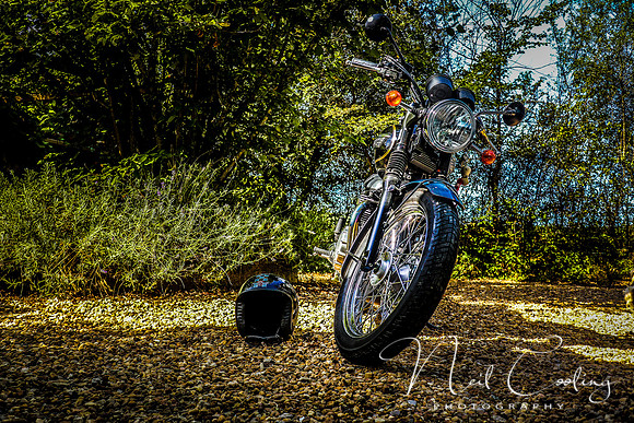Truimph Bonneville T100  (7 of 7) - 2033