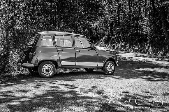 Renault 4GTL-1999-2