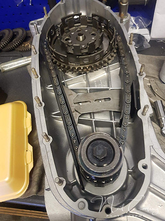 IMG_1468