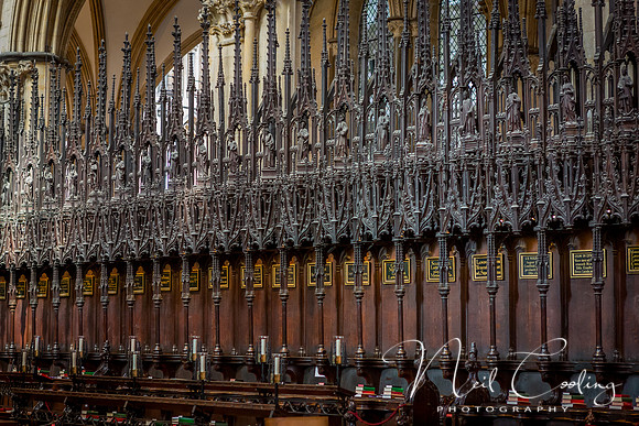 Lincoln Cathedral (22 of 29) - 5761