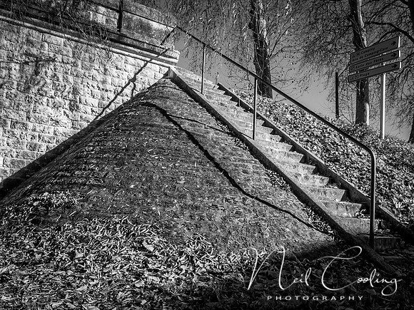 NCP_2013_12_20_3738-1